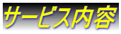 �T�[�r�X���e